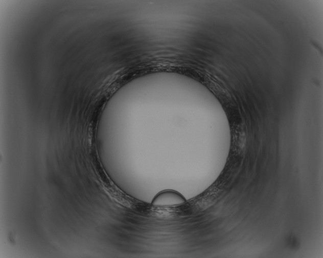 X0000097610710200802290756