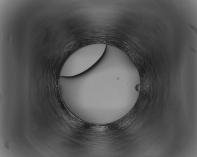 X0000097610711200802290756