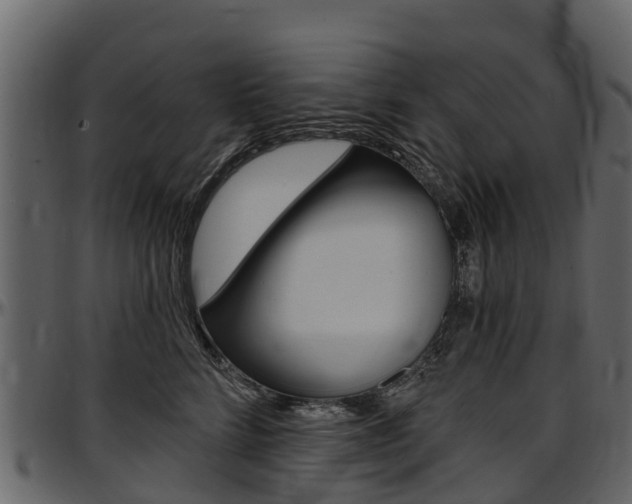 X0000097610712200802290756