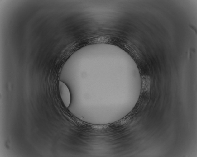 X0000097610713200802290756