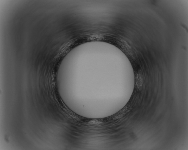 X0000097610714200802290756