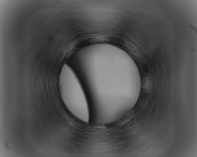 X0000097610715200802290756