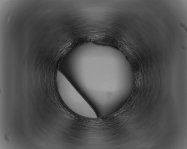 X0000097610716200802290756