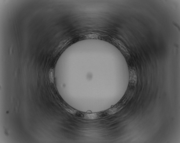 X0000097610717200802290756
