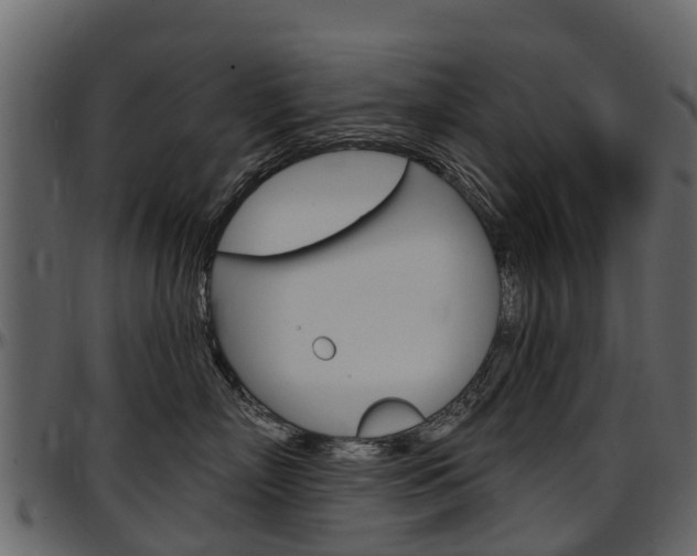 X0000097610718200802290756