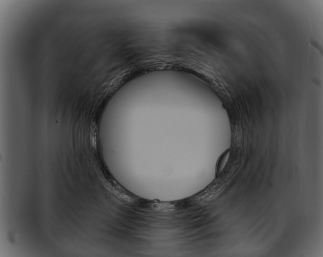 X0000097610719200802290756