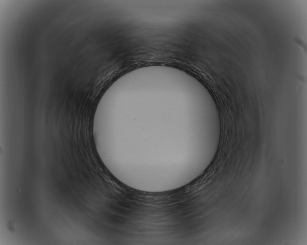 X0000097610720200802290756