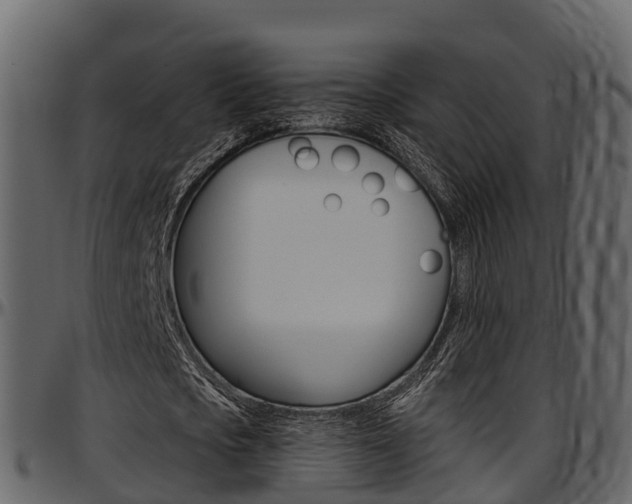 X0000097610721200802290755