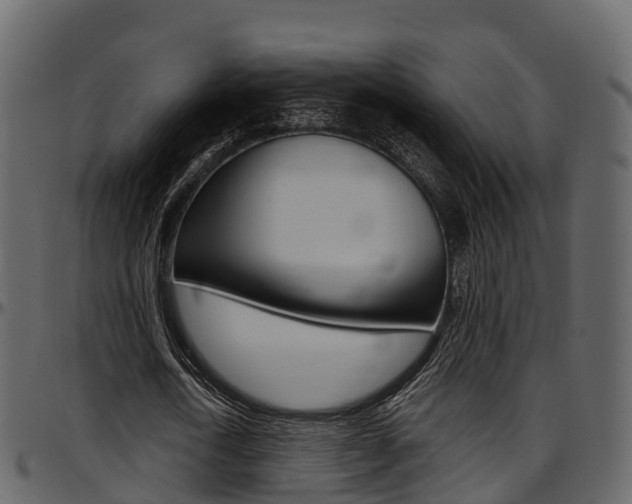 X0000097610722200802290755