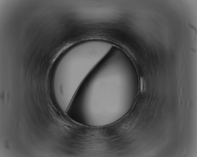 X0000097610723200802290755