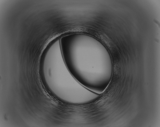 X0000097610724200802290755