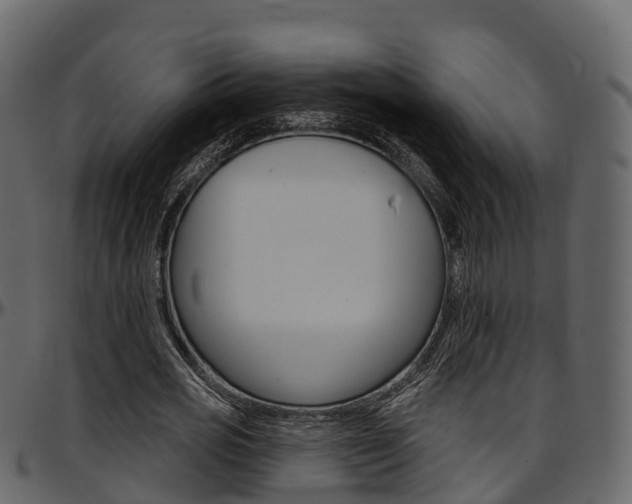 X0000097610725200802290755