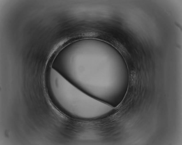 X0000097610726200802290755