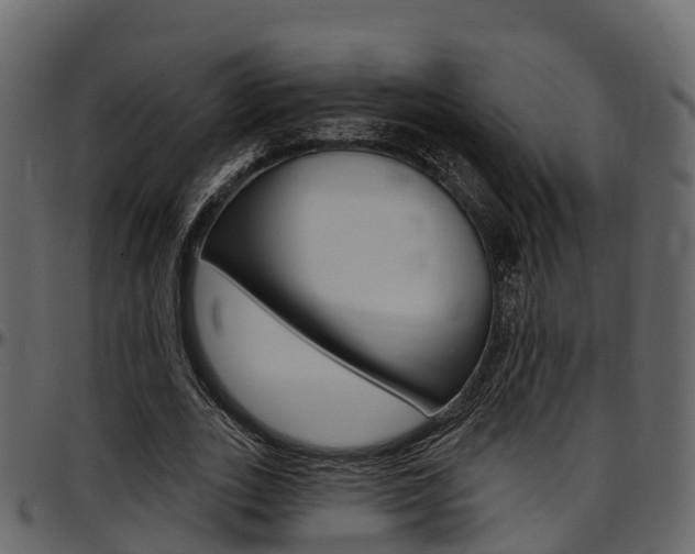 X0000097610727200802290755