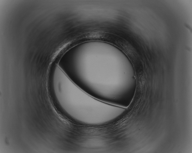 X0000097610728200802290755