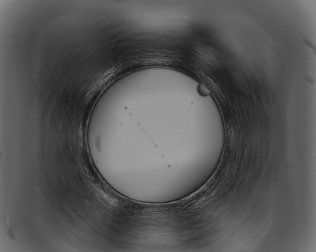 X0000097610729200802290755