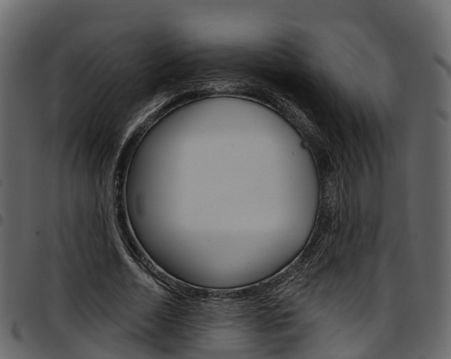 X0000097610730200802290755