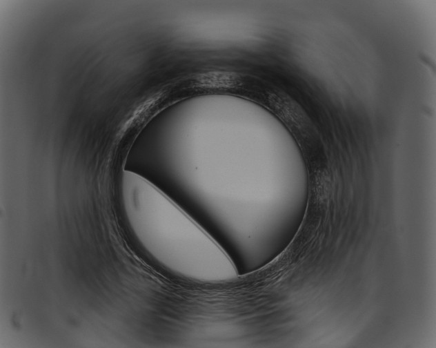 X0000097610731200802290755