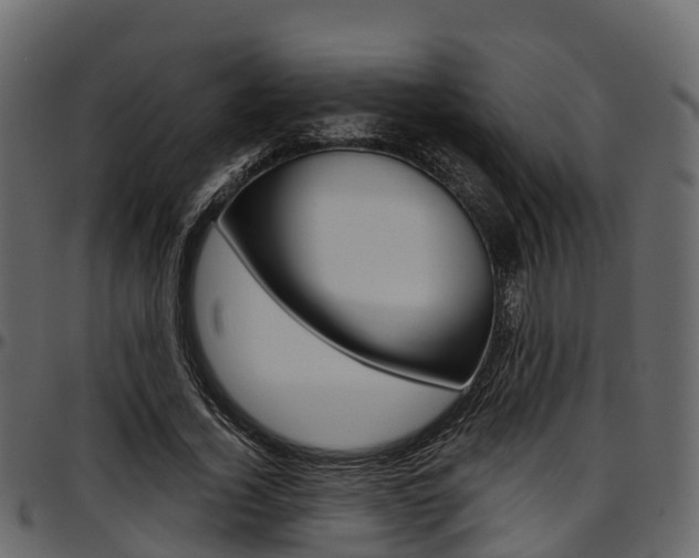 X0000097610732200802290755