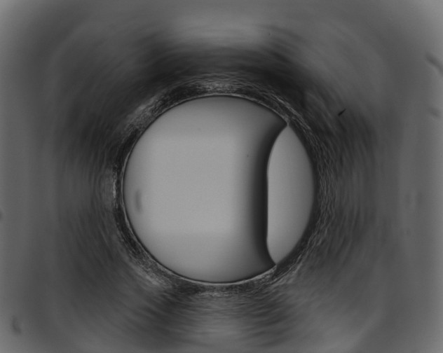 X0000097610733200802290755