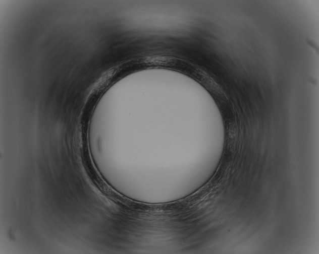 X0000097610734200802290755