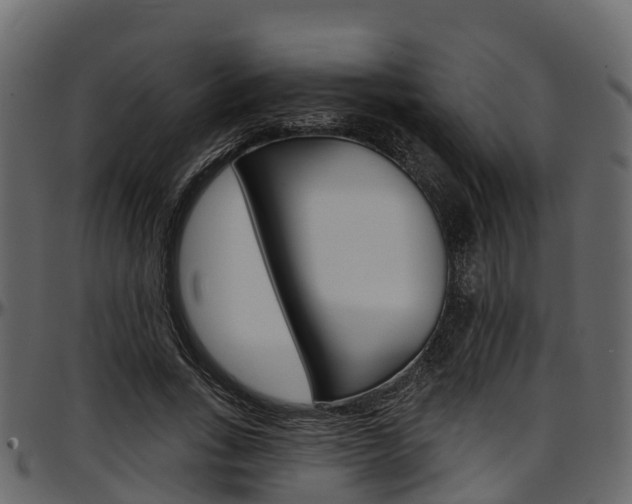 X0000097610735200802290755