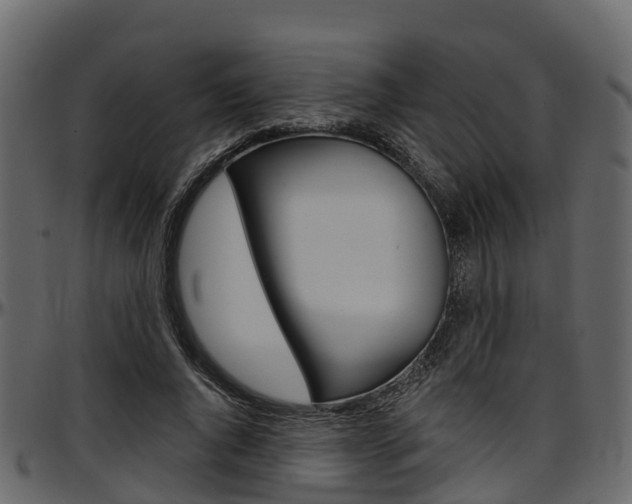 X0000097610736200802290755