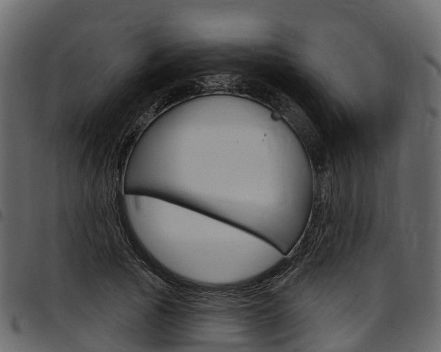 X0000097610737200802290755