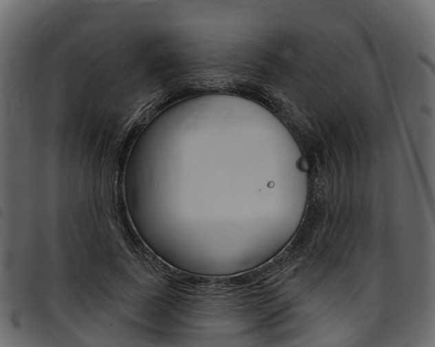 X0000097610739200802290755