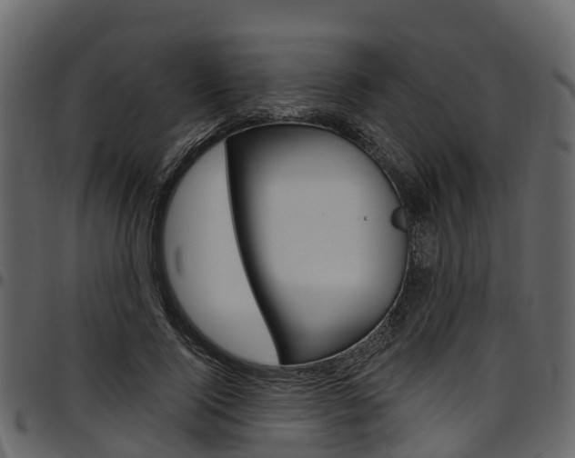 X0000097610740200802290755