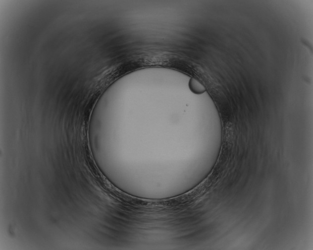 X0000097610741200802290755