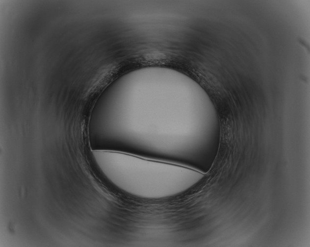 X0000097610742200802290755