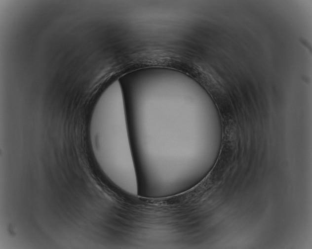 X0000097610744200802290755