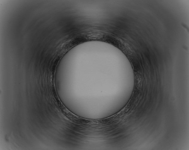 X0000097610745200802290755