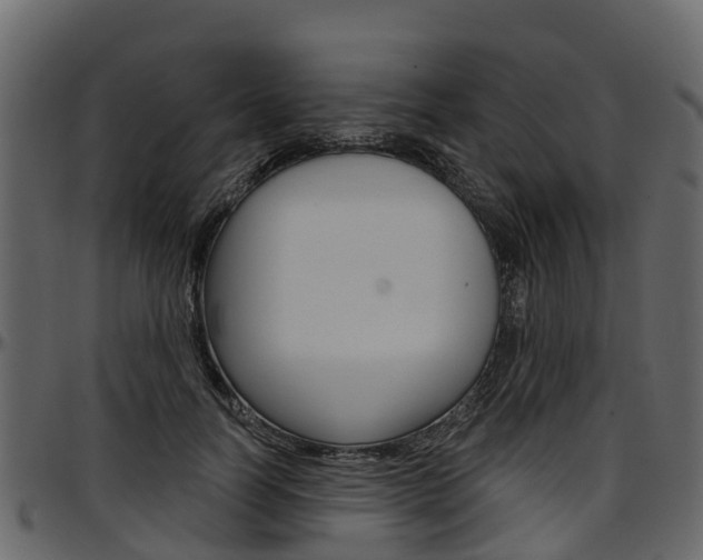 X0000097610746200802290755