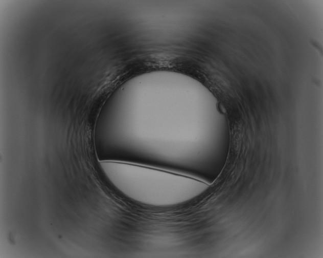 X0000097610747200802290755
