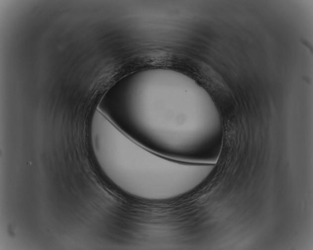 X0000097610748200802290755