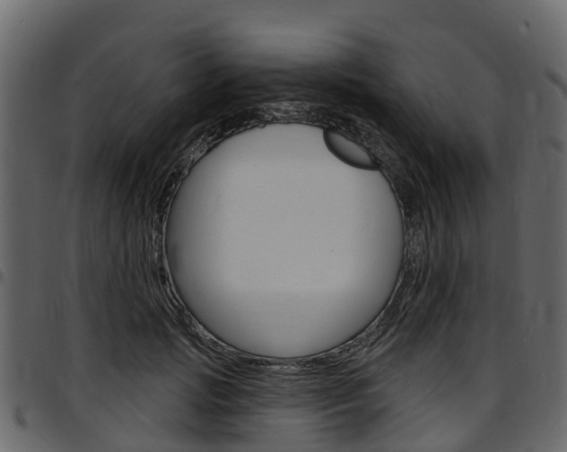 X0000097610749200802290755