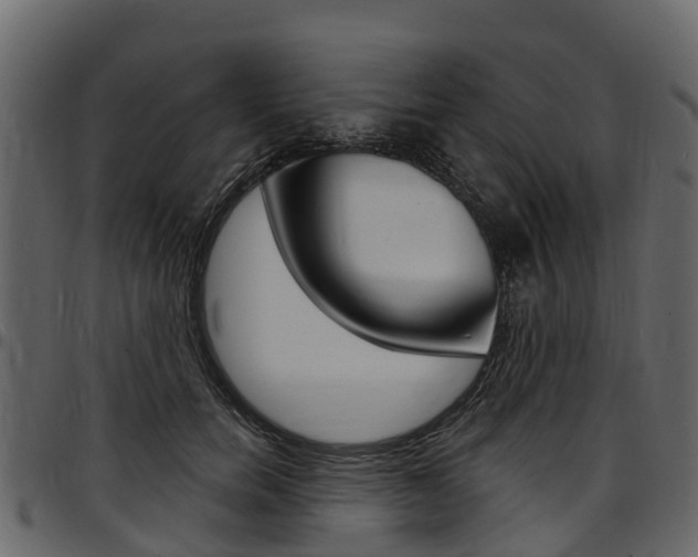 X0000097610750200802290755