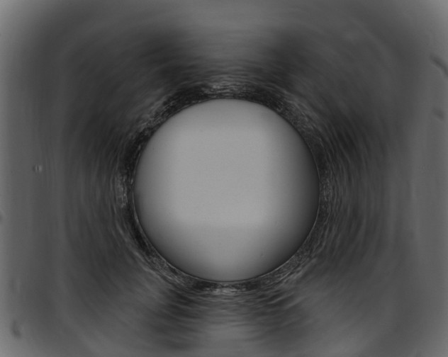 X0000097610751200802290755