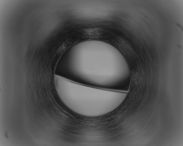 X0000097610752200802290756
