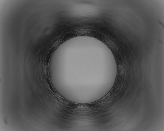 X0000097610753200802290756
