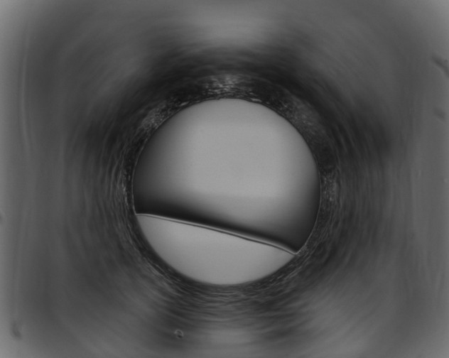 X0000097610754200802290756