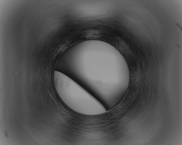X0000097610755200802290756