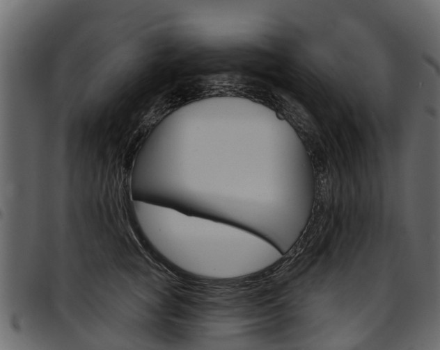 X0000097610757200802290756
