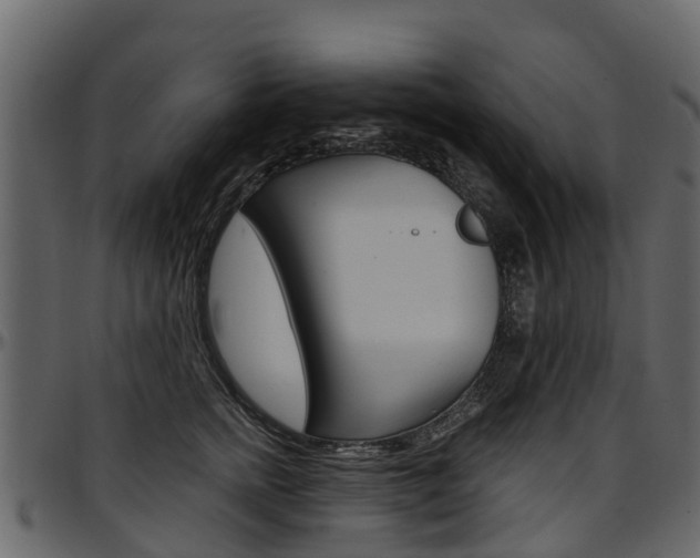 X0000097610758200802290756