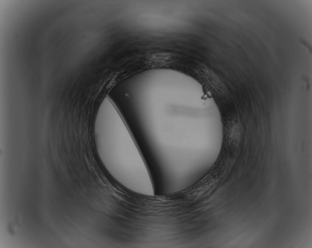 X0000097610759200802290756