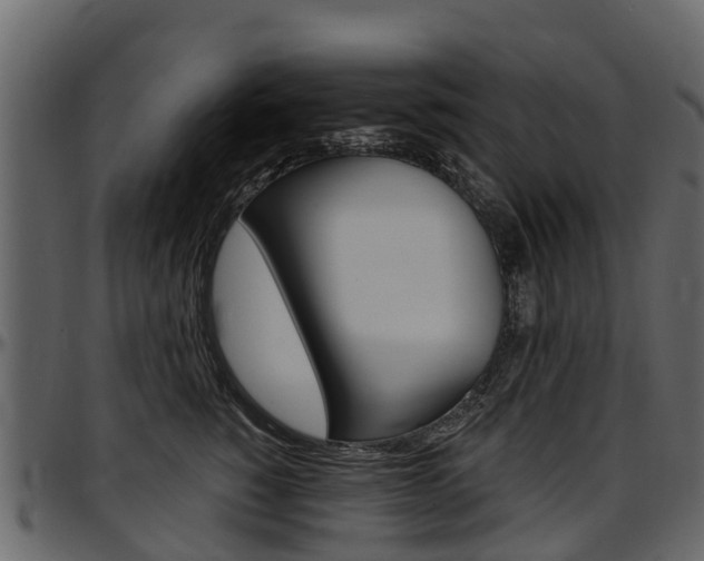 X0000097610760200802290756