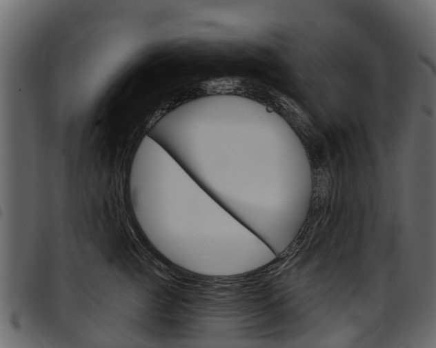 X0000097610761200802290756