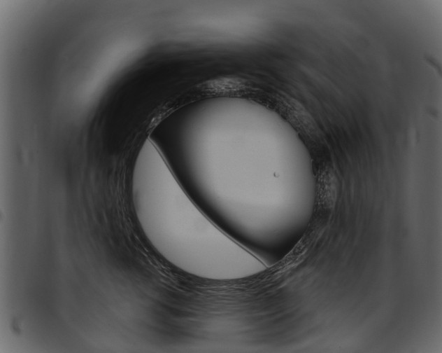 X0000097610762200802290756